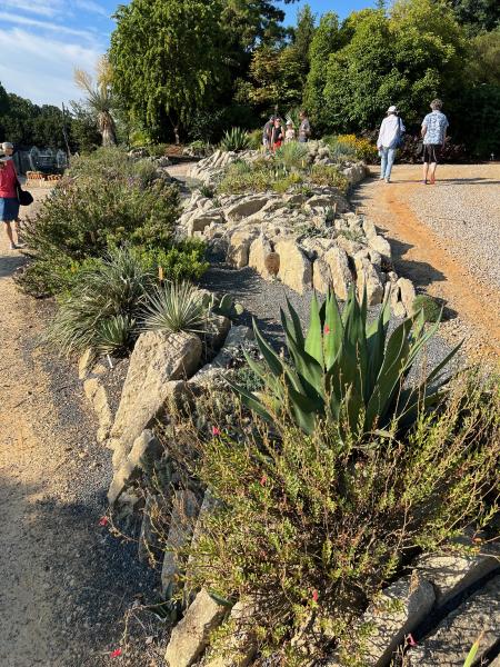 Crevice garden at Juniper Level Botanic Garden in North Carolina.