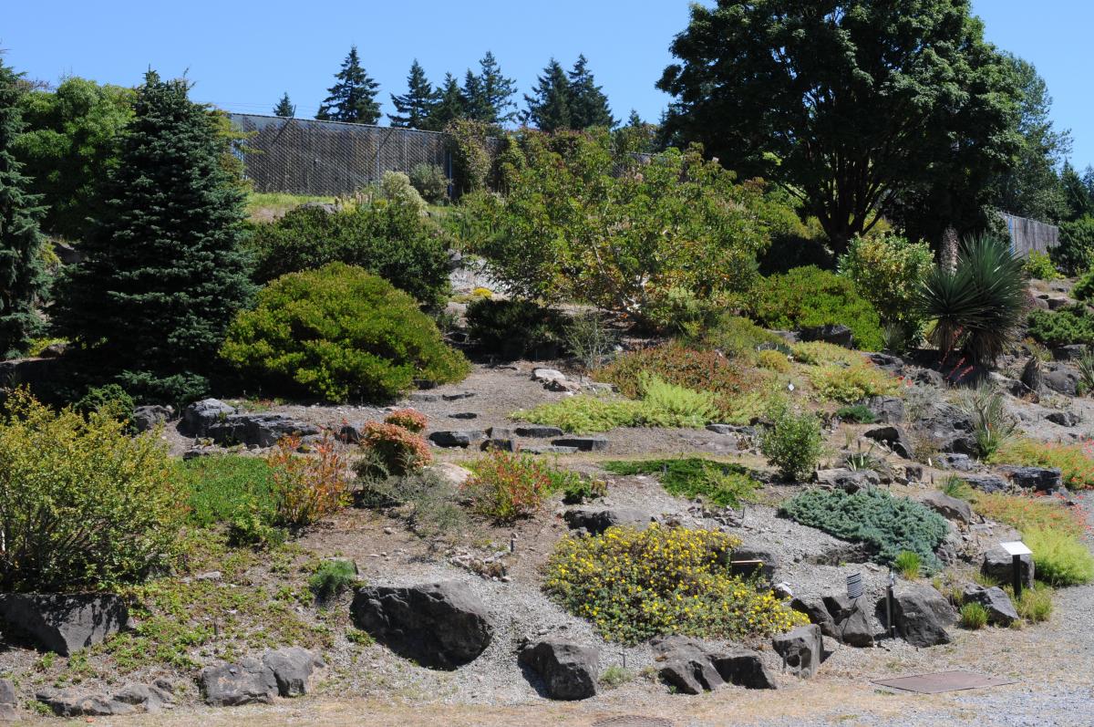 UBC Botanical Garden