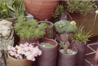 Collection of Long Toms