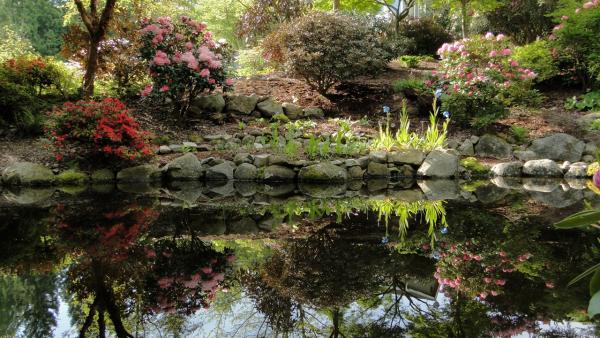 Sellars Lower Pond