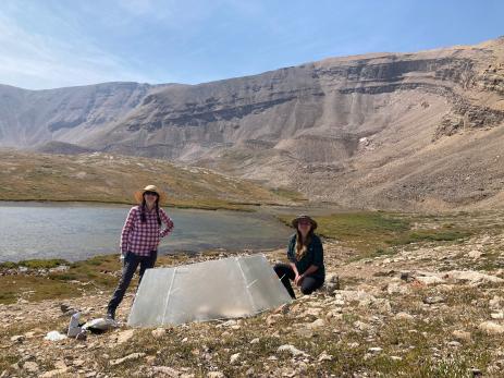 Open-top chambers raise the temperure to study possible effects of a warming climate on the alpine plant Physaria alpina.