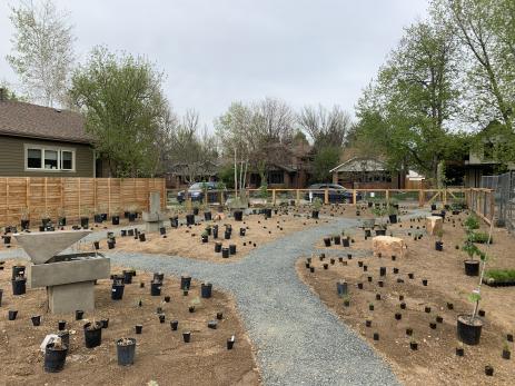 Layout pots before planting