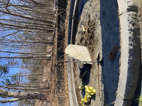 Starting to construct the rock structure of the garden