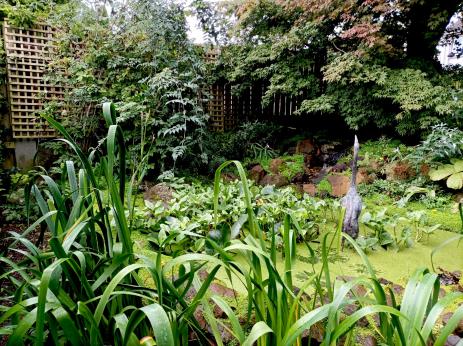 Water feature in the garden