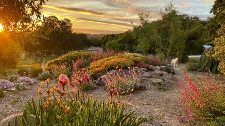 The front berm in the garden