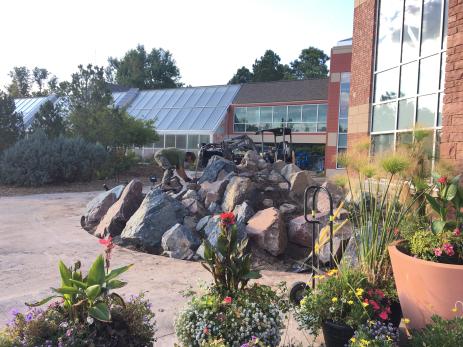 Placing the rocks for the crevice garden.