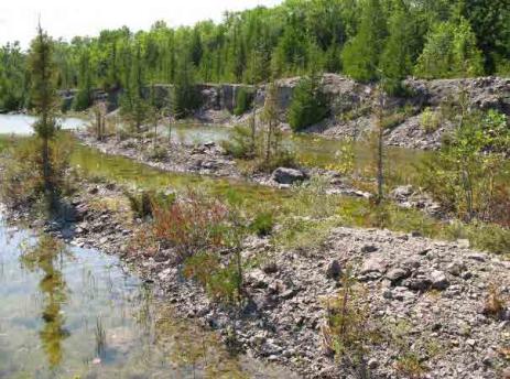 An abandoned quarry is full of rock gardening inspiration.