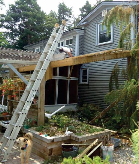 Lath-house roof over shade bed and raised bed