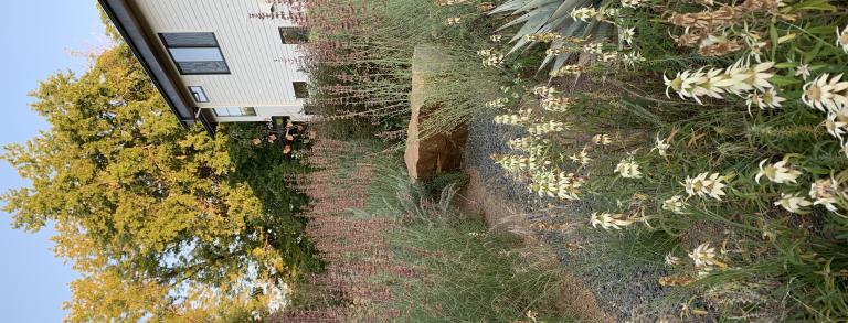 A natural stone bench set deep in the heart of a bed in SummerHome Garden, flanked by Monarda punctata and Agastache rupestris.