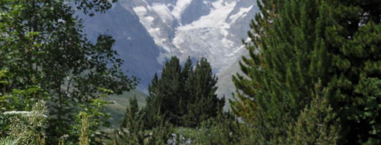 View of La Meije from the garden