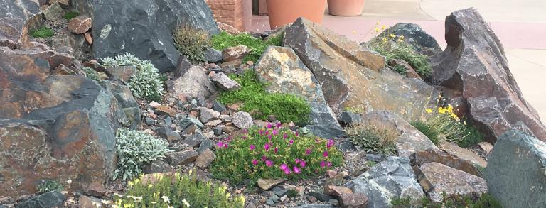 The crevice garden at the entry of the tropical conservatory  at the Cheyenne Botanic Gardens