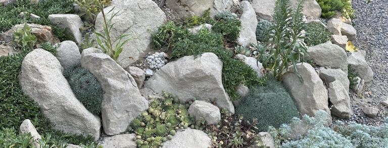 The completed crevice garden.